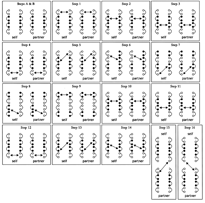 Lace Goutty Diagram