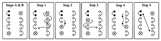 Lace Goutty Diagram