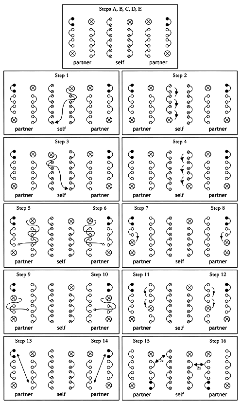 Lace Goutty Diagram